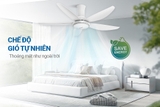 Quạt trần 5 cánh có đèn Sunhouse Apex APF7676W
