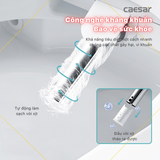 Bồn Cầu 1 khối CAESAR C1363F Nắp Rửa Điện Tử TAF610H