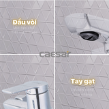 Vòi sen tắm nóng lạnh Caesar S203C