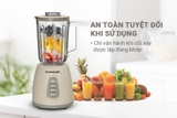 Máy xay sinh tố đa năng Sunhouse SHD5331