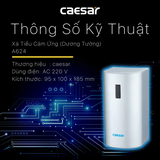 Xả tiểu Caesar A624 cảm ứng từ