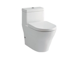 Bồn cầu 1 khối TOTO CW166RB#XW/TC384CVK#W/T53P100VR