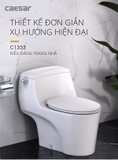 Bồn cầu 1 khối Caesar CD1353F nắp rửa cơ TAF060
