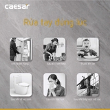 Vòi lavabo chậu rửa mặt Caesar B810CU nóng lạnh