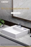 Vòi lavabo chậu rửa mặt Caesar B390CU nóng lạnh