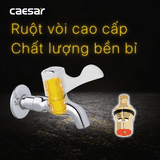 Vòi gắn tường Caesar W027C