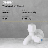 Vòi sen tắm nước lạnh Caesar W038P củ sen nhựa