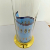 Bình Thủy Tinh Ngâm Rượu Phú Hòa 8.89 Lít