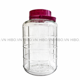 Bình Thủy Tinh Việt Tiệp 11 Lít Quai Xách