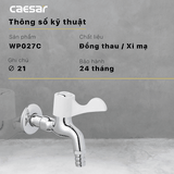 Vòi gắn tường Caesar WP027C