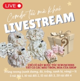 [BLINDBOX LIVE] Set túi mù The Noya bóc trên live gồm dây buộc tóc, kẹp tóc