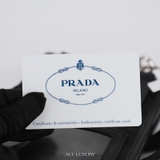 Prada Re-Nylon and Saffiano Bag