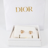 DIOR CLAIR D LUNE EARRINGS