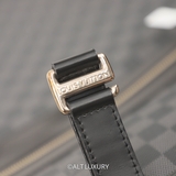 LOUIS VUITTON PÉGASE 55