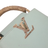 LOUIS VUITTON CAPUCINES MINI