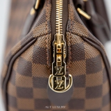 Louis Vuitton Speedy Brown Leather Shoulder Bag – Biểu tượng vượt thời gian của sự sang trọng và tinh tế