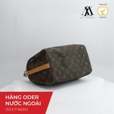 Louis Vuitton Speedy Bandoulière 25