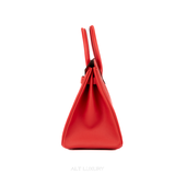 Hermès Birkin 30 Capucine Epsom Palladium Hardware