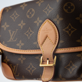 LOUIS VUITTON Monogram Diane PM – Thiết Kế Cổ Điển Xen Lẫn Hiện Đại – Mới 98% Kèm Đầy Đủ Phụ Kiện