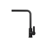 Vòi rửa chén nóng lạnh inox sơn đen