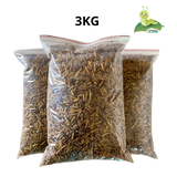 Sâu Canxi Sấy Khô, Sấy Phồng Cho Vật Nuôi