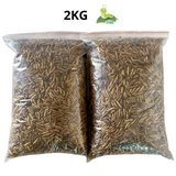 Sâu Canxi Sấy Khô, Sấy Phồng Cho Vật Nuôi