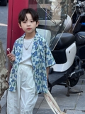 Áo Sơ Mi Ngắn Hoa Xanh PL