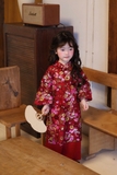 Set Áo Dài Đỏ Kim Sa Quần Đỏ
