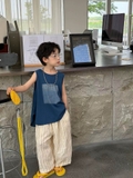 SD Áo Ba Lỗ Xanh Hình Vuông Quần Be Sọc FS