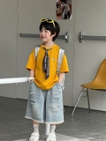 QN Jean Xanh Rách Sơn Màu FS
