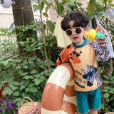 SET Bơi Ngựa Vằn DH