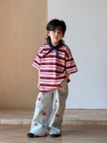 AN Hồng Kẻ Đỏ AY