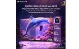TV OLED evo LG AI 4K C6 55 inch OLED55C6PSA