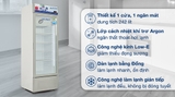 Tủ mát Hoà Phát 242 lít HSR D6242