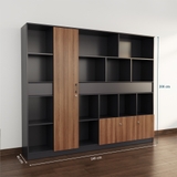 Tủ Giám Đốc TGDY037