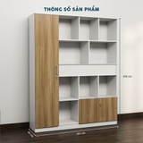 Tủ Giám Đốc TGDY034