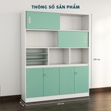 Tủ Giám Đốc TGDY019