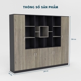 Tủ Giám Đốc TGDY001