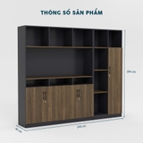 Tủ Giám Đốc TGDY002