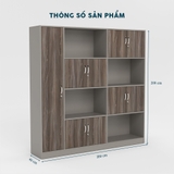 Tủ Giám Đốc TGDY004