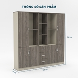 Tủ Giám Đốc YOTA TGDY014