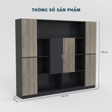 Tủ Giám Đốc TGDY016