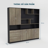Tủ Giám Đốc TGDY029