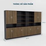 Tủ Giám Đốc TGDY059