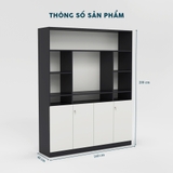 Tủ Giám Đốc TGDY061