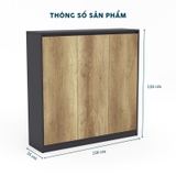Tủ Giày 1.2M TGY02