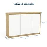 Tủ Giày 1.2M TGY06