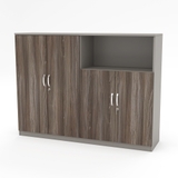 Tủ Hồ Sơ Thấp THSTY13