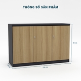 Tủ Hồ Sơ Thấp THSTY23