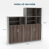 Tủ Hồ Sơ Thấp THSTY49